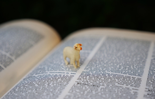 Copyright Noémie Fargier