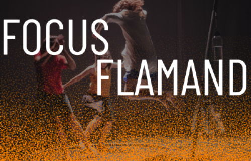 Focus Flamand