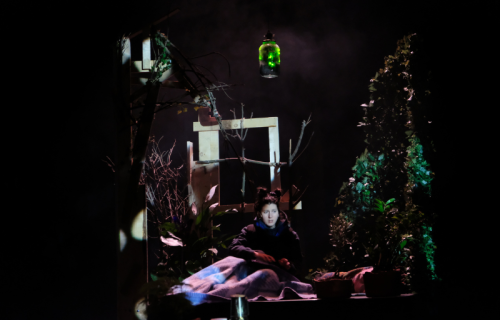 Photo du spectacle Lisière dans la foret