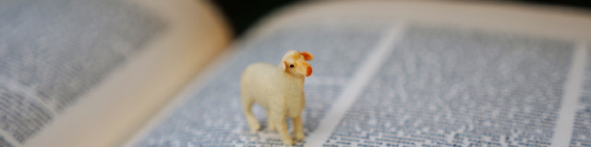 Copyright Noémie Fargier