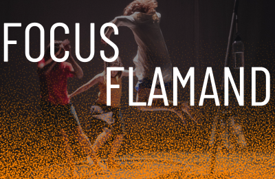 Focus Flamand